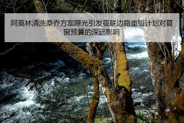 阿莫林清洗桑乔方案曝光引发曼联边路重组计划对夏窗预算的深远影响
