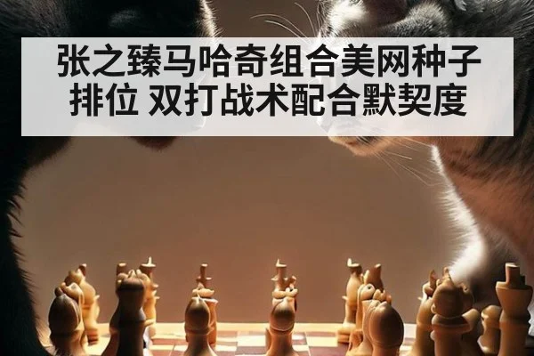张之臻马哈奇组合美网种子排位 双打战术配合默契度