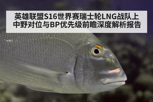 英雄联盟S16世界赛瑞士轮LNG战队上中野对位与BP优先级前瞻深度解析报告